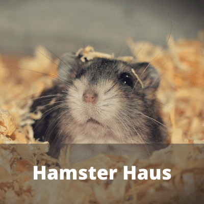 Hamster Haus