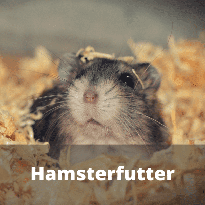 Hamsterfutter