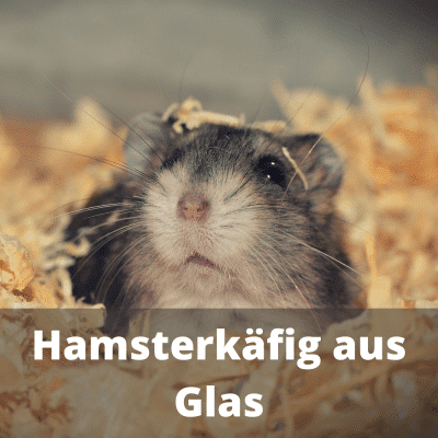 Hamsterkäfig aus Glas