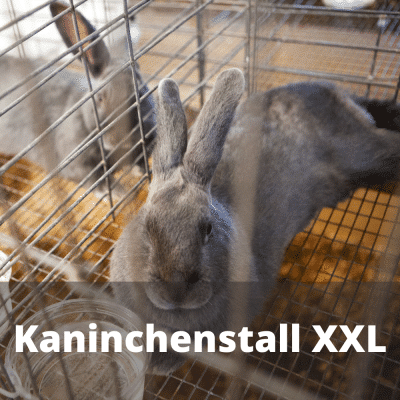 Kaninchenstall XXL