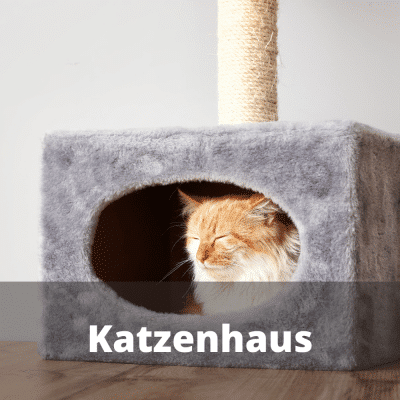 Katzenhaus