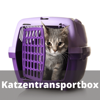 Katzentransportbox